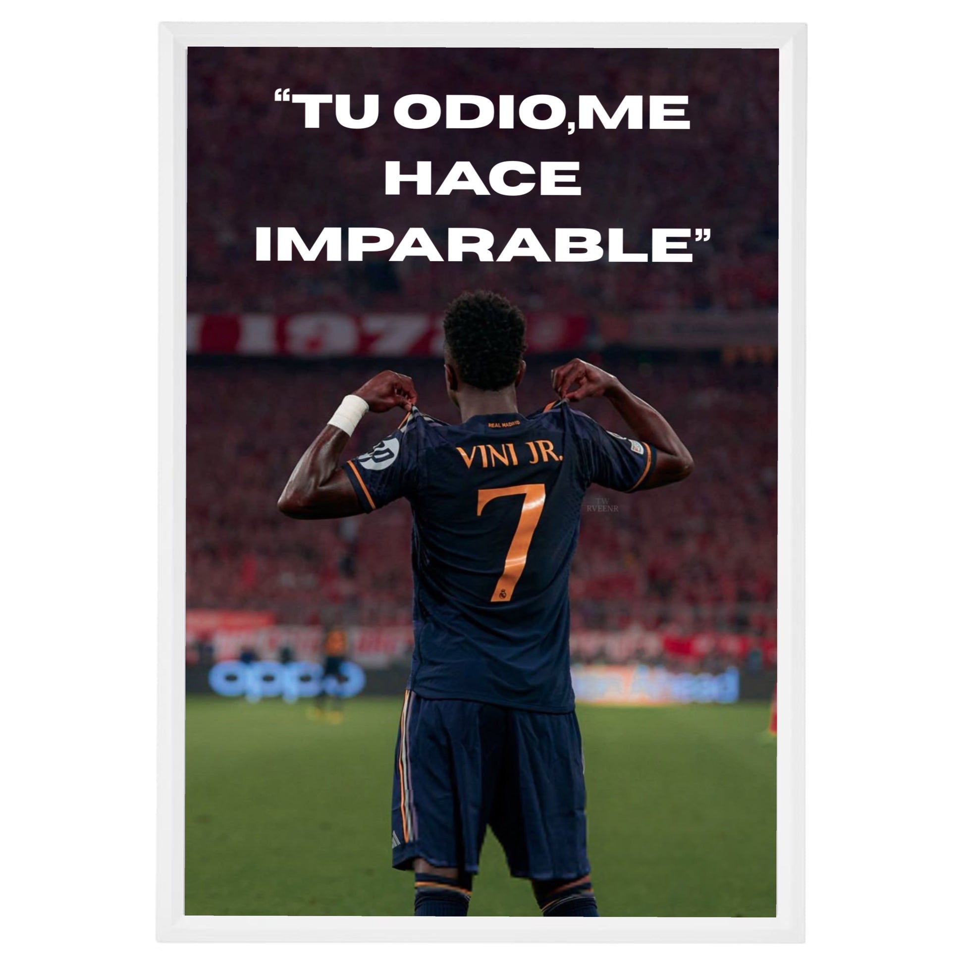Poster Vinícius